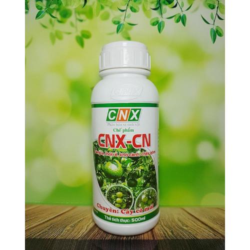 CNX-CN – Tiêu diệt, ngăn ngừa mầm bệnh trong đất