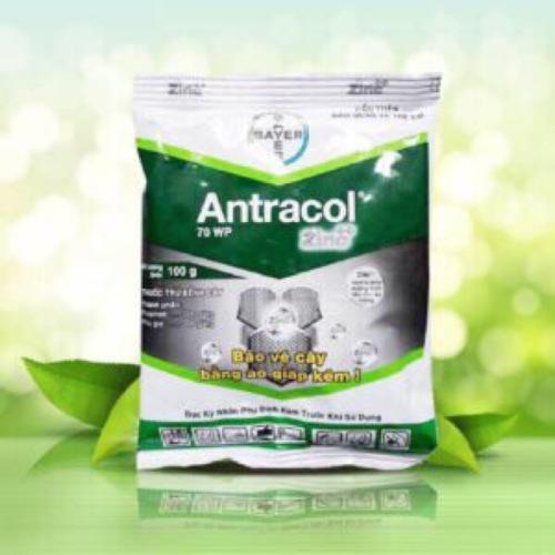 Sản Phẩm trừ nấm bệnh, thán thư, sương mai, rỉ sét Antracol 70wp gói 100g dùng cho cây trồng